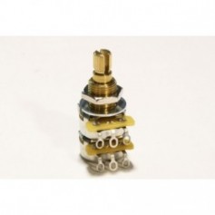 Potentiomètres guitares