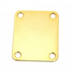 Plaque et inserts manche
