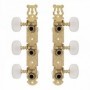 Mécaniques classiques Gotoh 35G420 doré