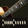 Sticker guitare touche texan Epiphone vieux blanc pearl