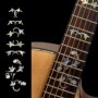 Sticker guitare touche vigne et oiseau