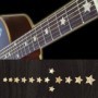 Sticker guitare touche étoiles everly brothers blanc abalone
