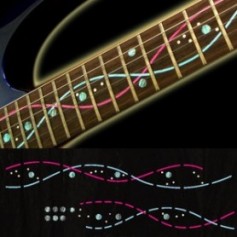 Sticker guitare signature lignes Ibanez® Steve Vai