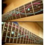 Sticker guitare signature lignes Ibanez® Steve Vai