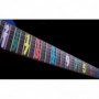 Sticker guitare signature Jason Becker