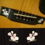 Sticker guitare chevalet fleur blanc abalone (2 pieces)