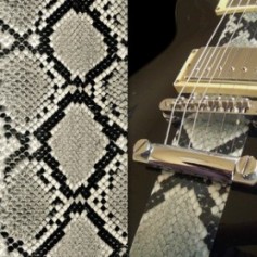 Stickers corps guitare