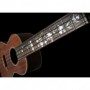 Sticker guitare ukulele vegetal hummingbird concert