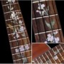 Sticker guitare ukulele vegetal hummingbird concert